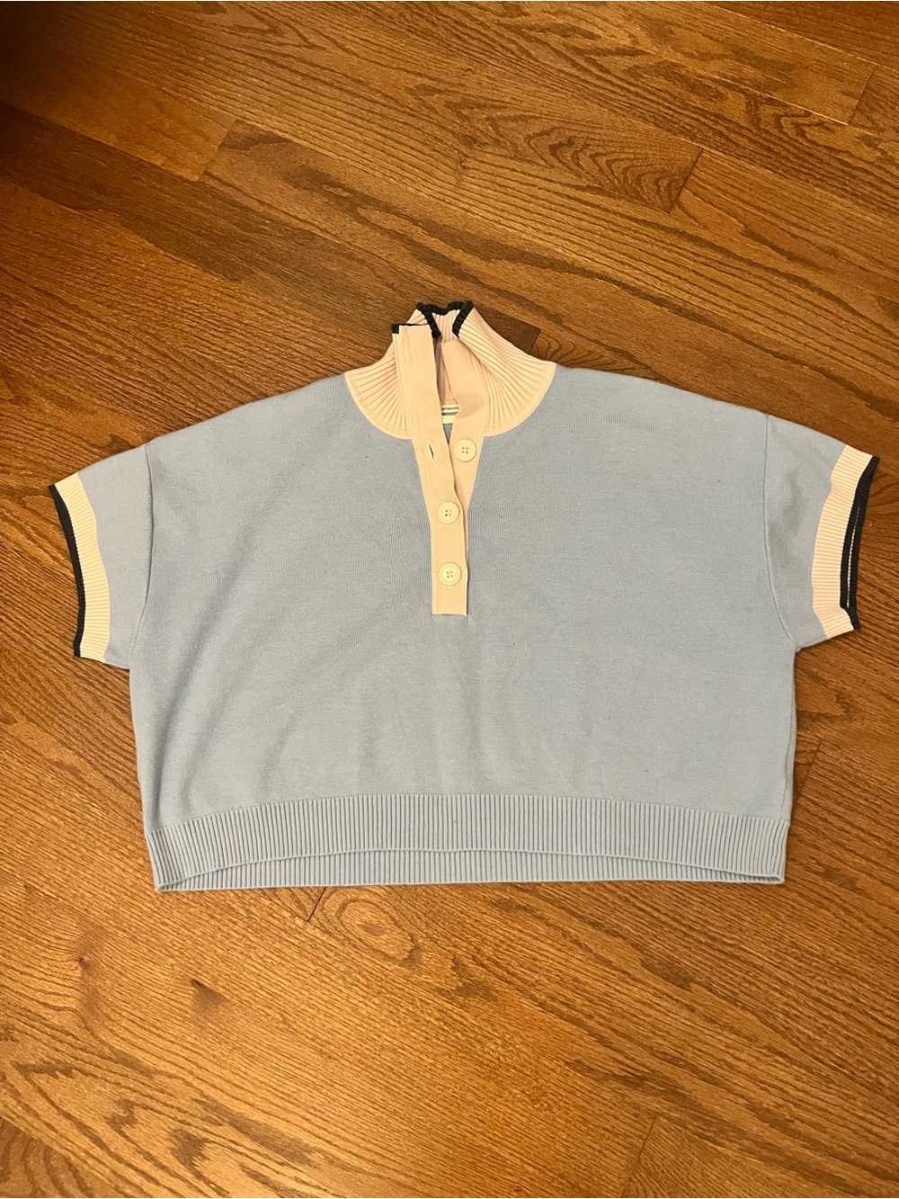 Anthropologie Polo Sweater in Light Blue and Cream Small